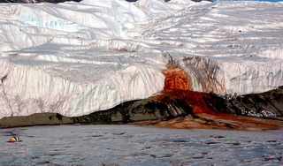 Illustration for article titled Antarctica's Blood Falls Are An Extremophile's Paradise